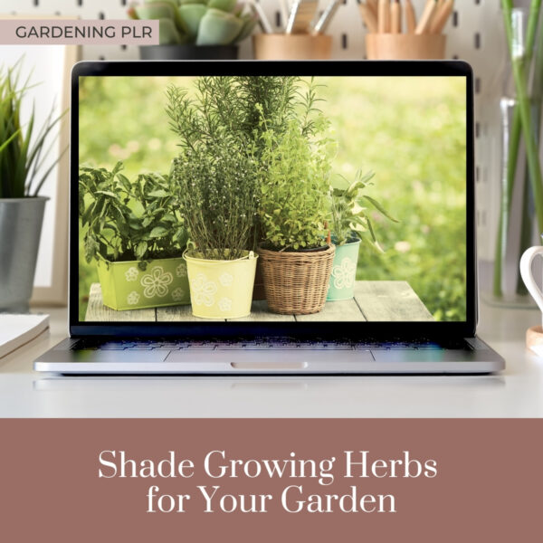 Shade Growing Herbs for Your Garden PLR